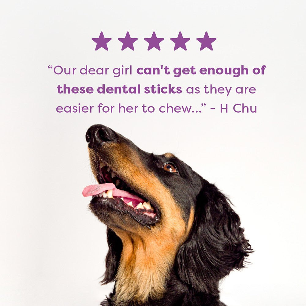 Bell & Bone Kangaroo Senior Dental Sticks Dog Treats