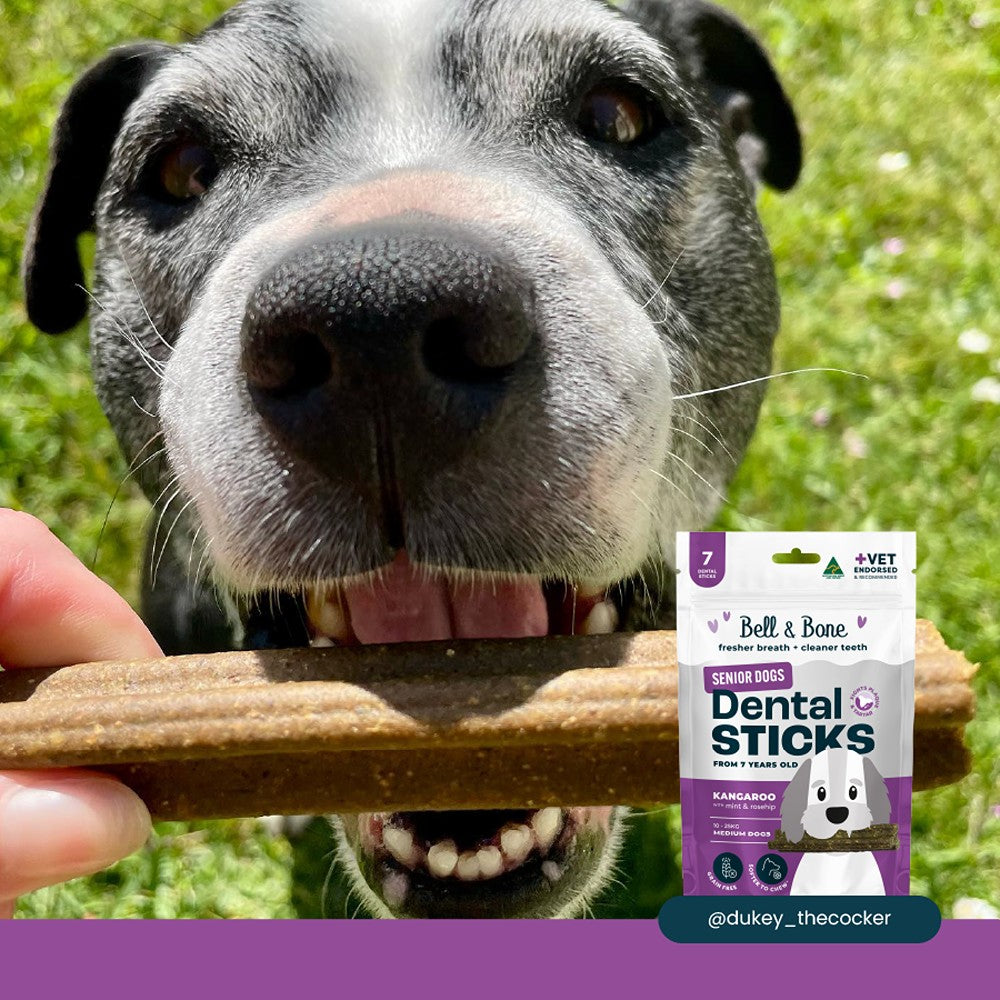 Bell & Bone Kangaroo Senior Dental Sticks Dog Treats