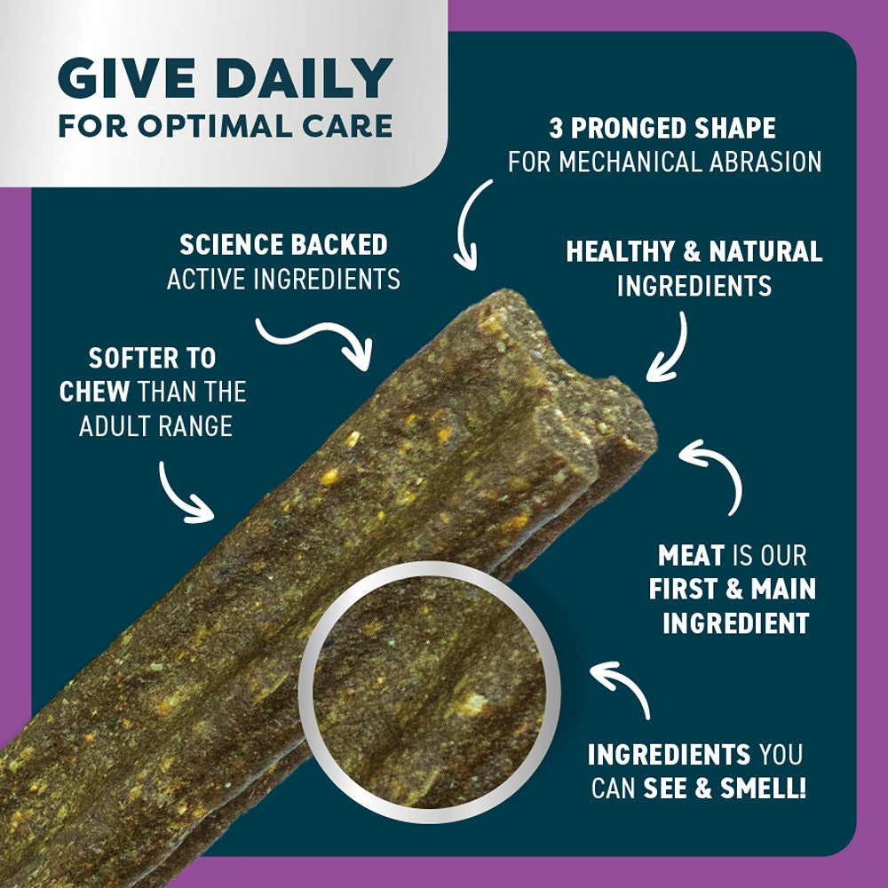 Bell & Bone Kangaroo Senior Dental Sticks Dog Treats