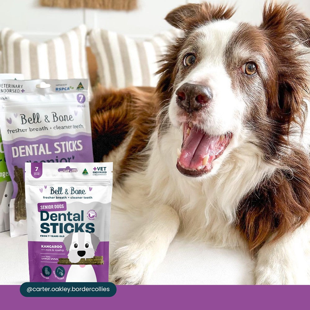 Bell & Bone Kangaroo Senior Dental Sticks Dog Treats