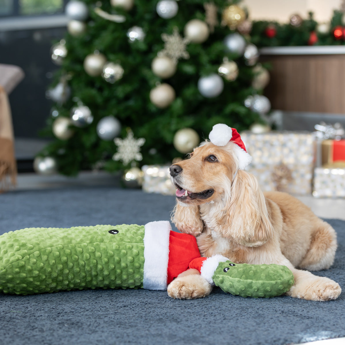 Petstock Christmas Pickle Plush Dog Toy
