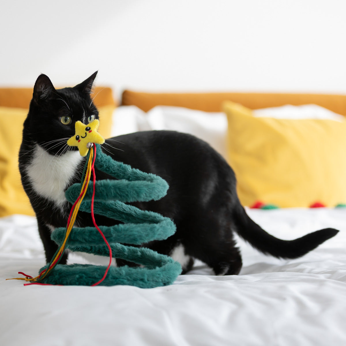 Petstock Christmas Tree Spring Teaser Cat Toy