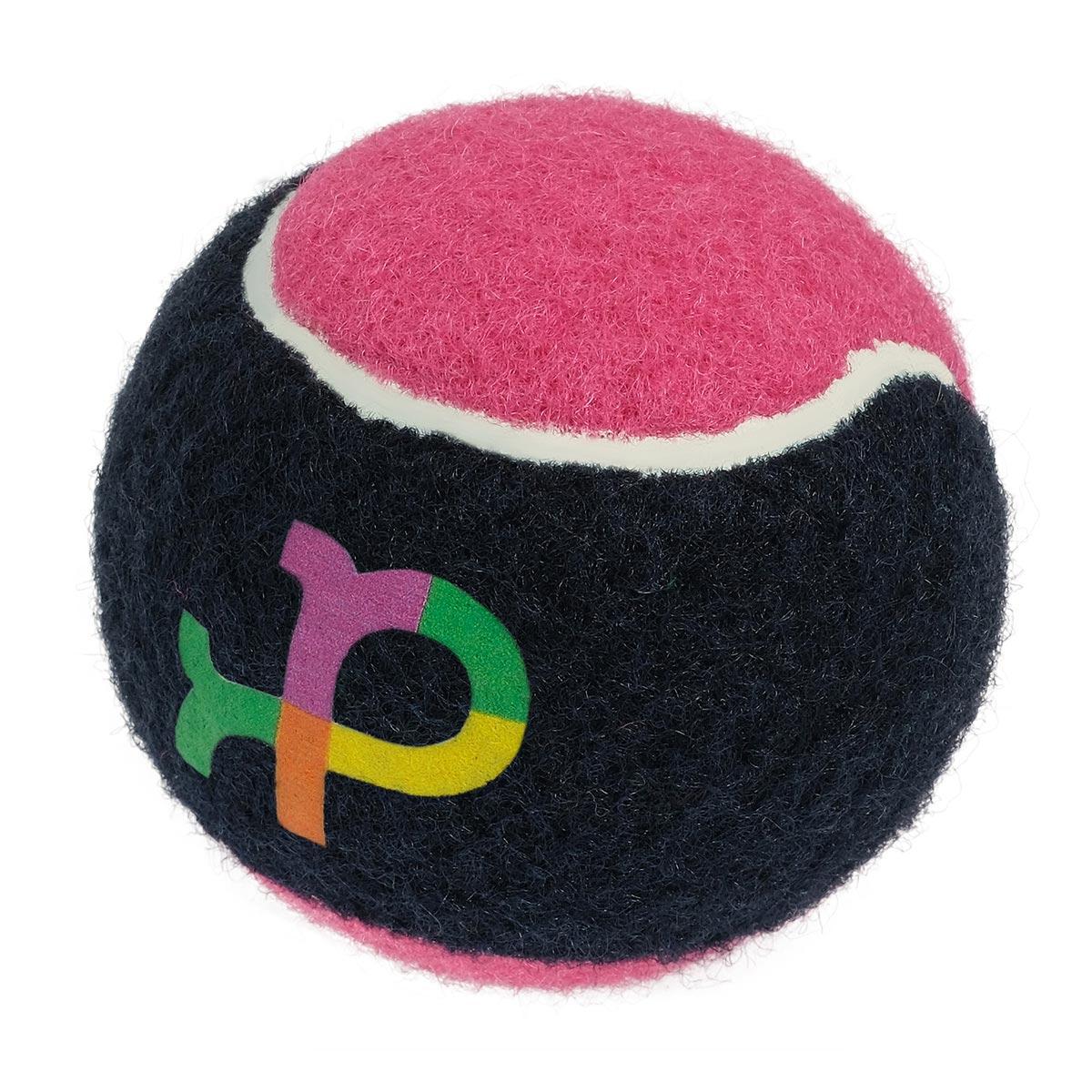 Petstock Foundation Tennis Ball Dog Toy