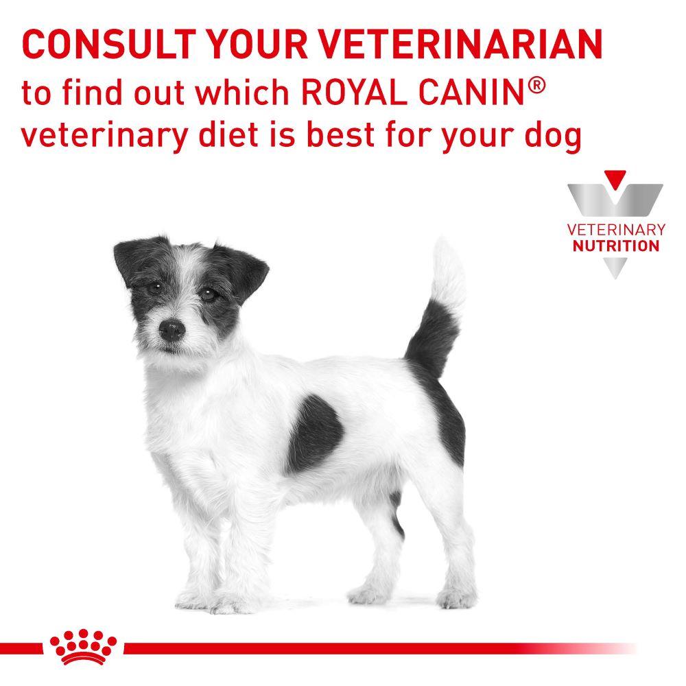 Royal Canin Veterinary Small Breed Hypoallergenic Dry Dog Food