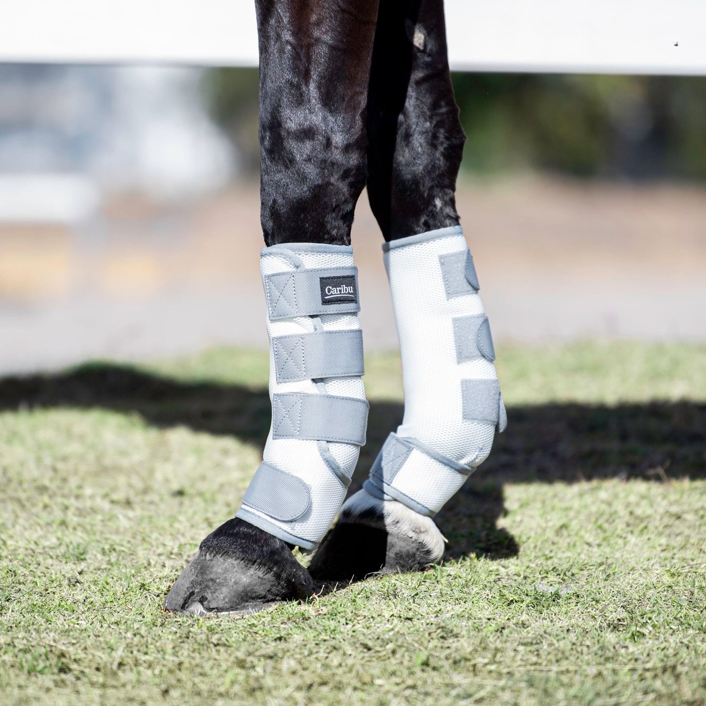 Caribu Deluxe Mesh Horse Fly Boots