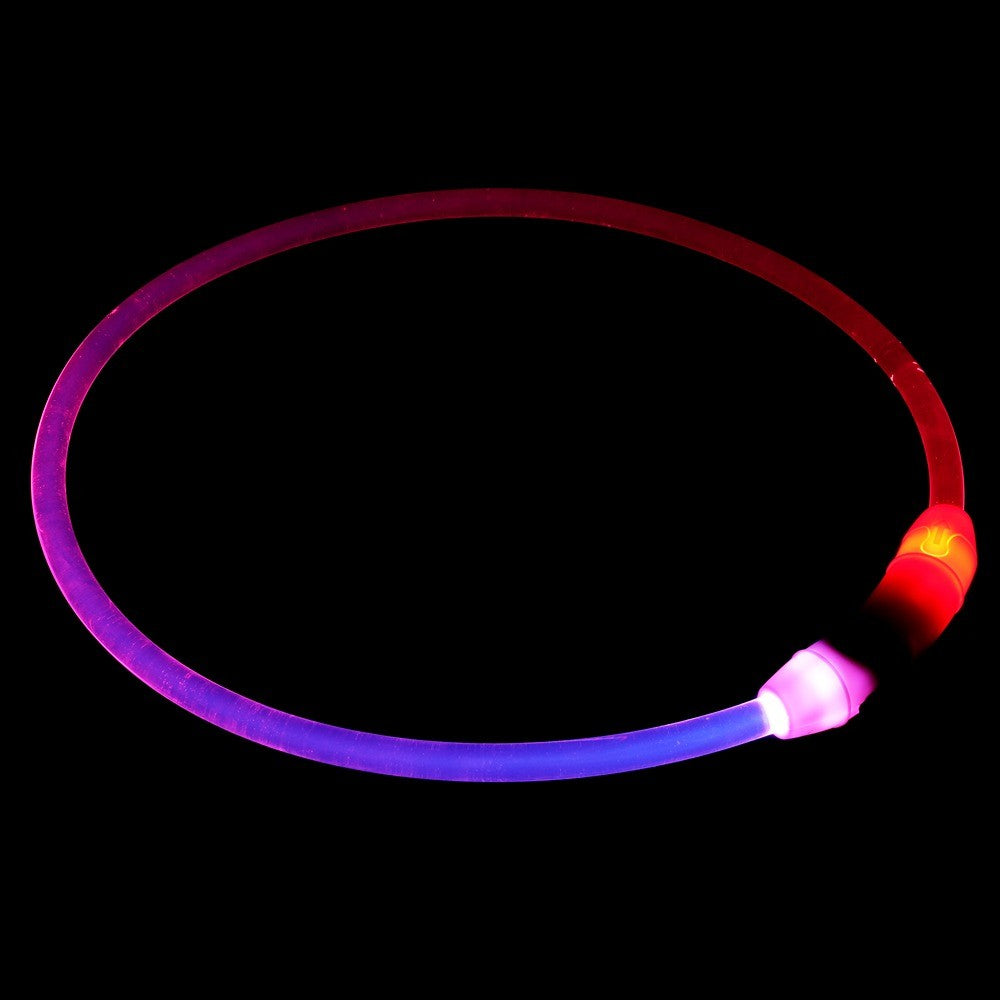 Lexi & Me Rechargable Light Up Collar