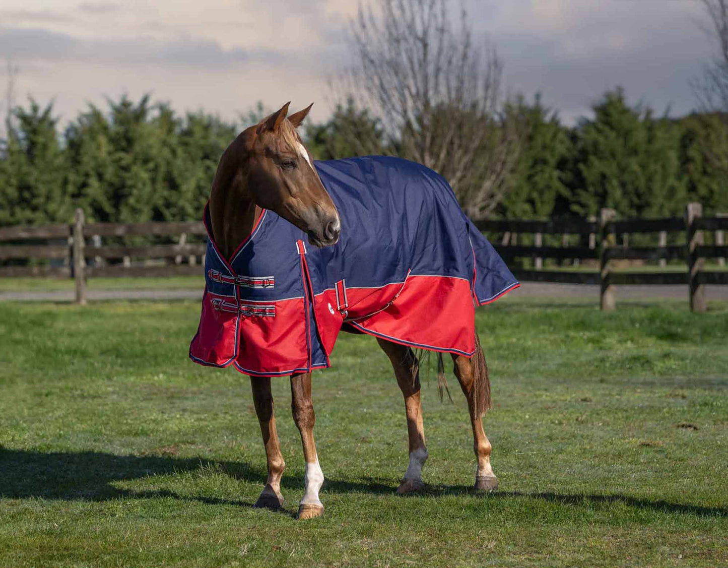 Caribu Eclipse XL Gusset Detach-a-Neck Horse Rainsheet Navy Red