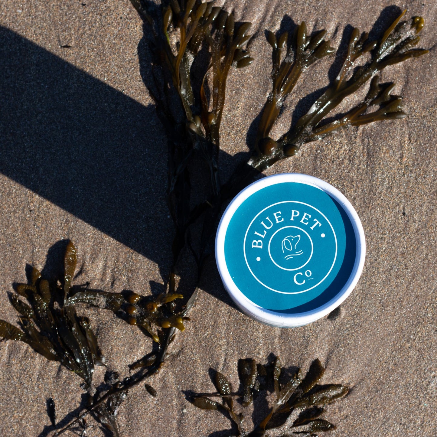 Blue Pet Co GoShine Skin & Coat Peanut Butter Supplement for Dogs