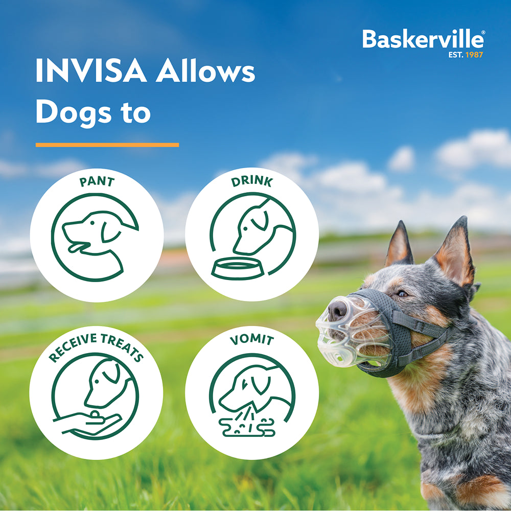 Baskerville Invisa Dog Muzzle