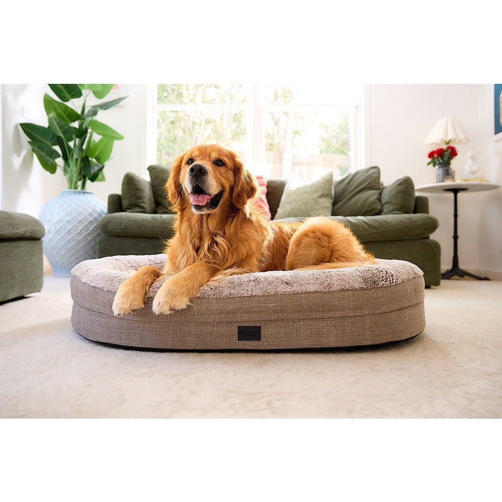 Superior Orthopaedic Memory Rest Puppacino