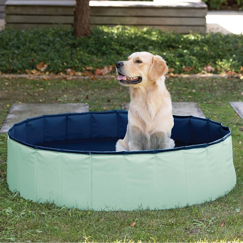 Lexi & Me Mint & Blue Pet Pool