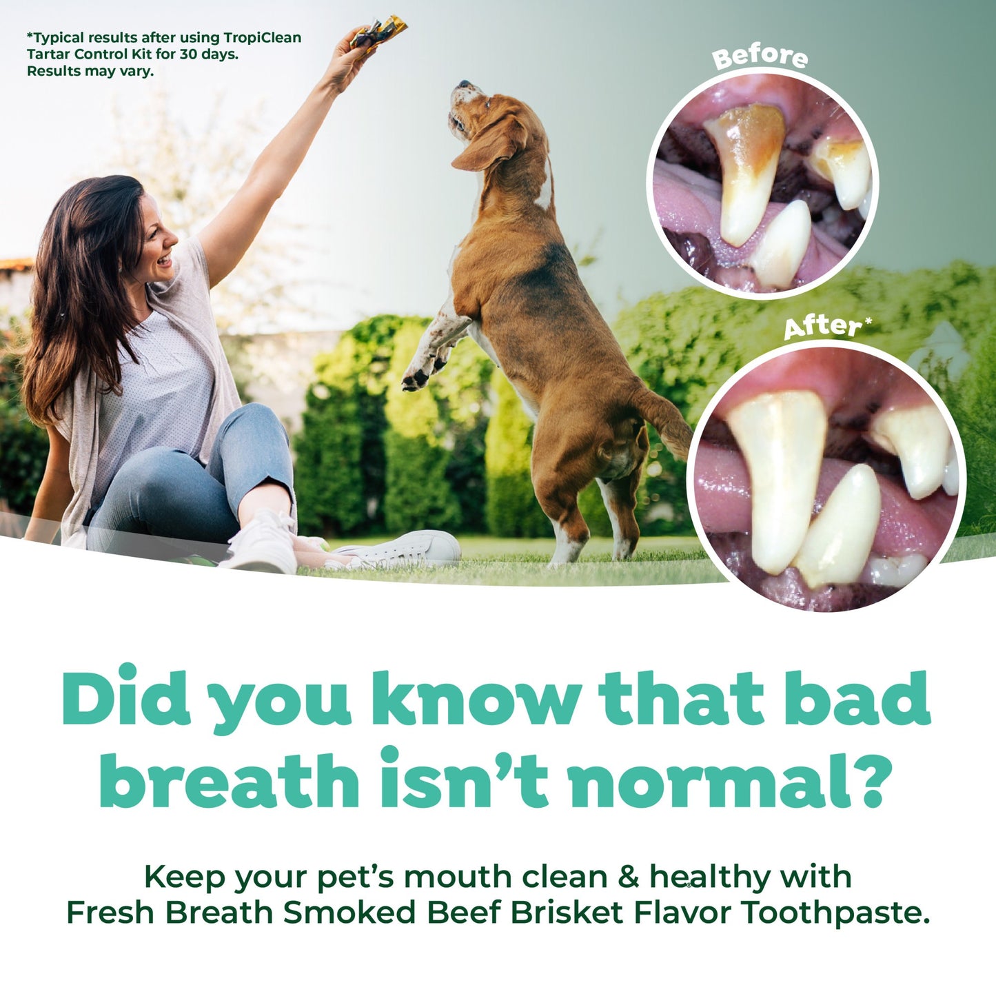 TropiClean Fresh Breath Enticers Smoked Beef Brisket Oral Care Kit for Dogs