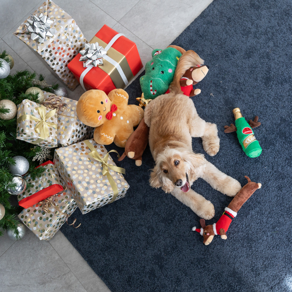 Petstock Christmas Jumbo Gingerbread Man Plush Dog Toy