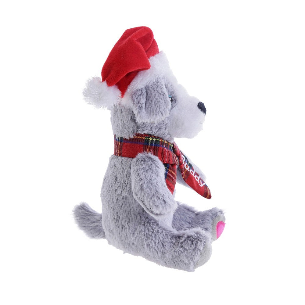 Petstock Foundation Festive Buddy Dog Toy