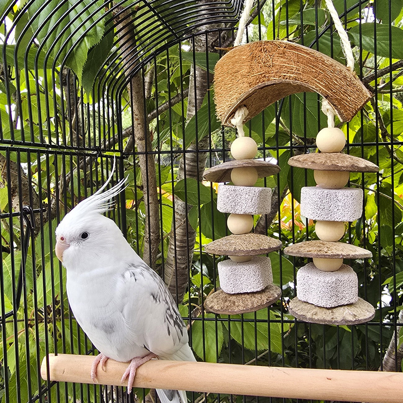 Avi One Pumice & Beads With Coconut Husk Bird Toy