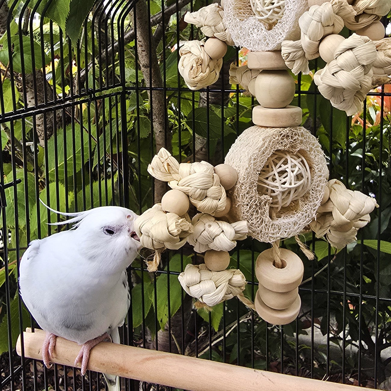 Avi One Rattan Ball With Seagrass & Loofah Bird Toy
