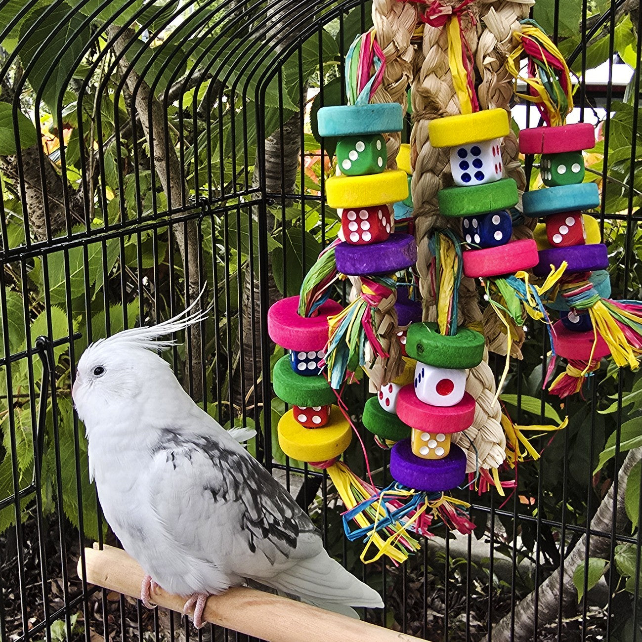Avi One Wooden Beads With Raffia & Seagrass Bird Toy