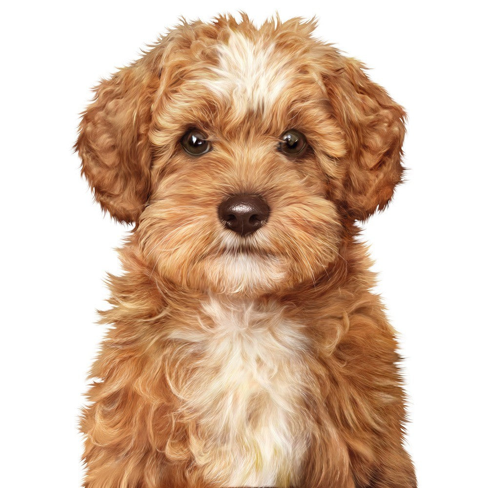 Advance Puppy Oodles Wet Dog Food with Turkey and Rice 100g