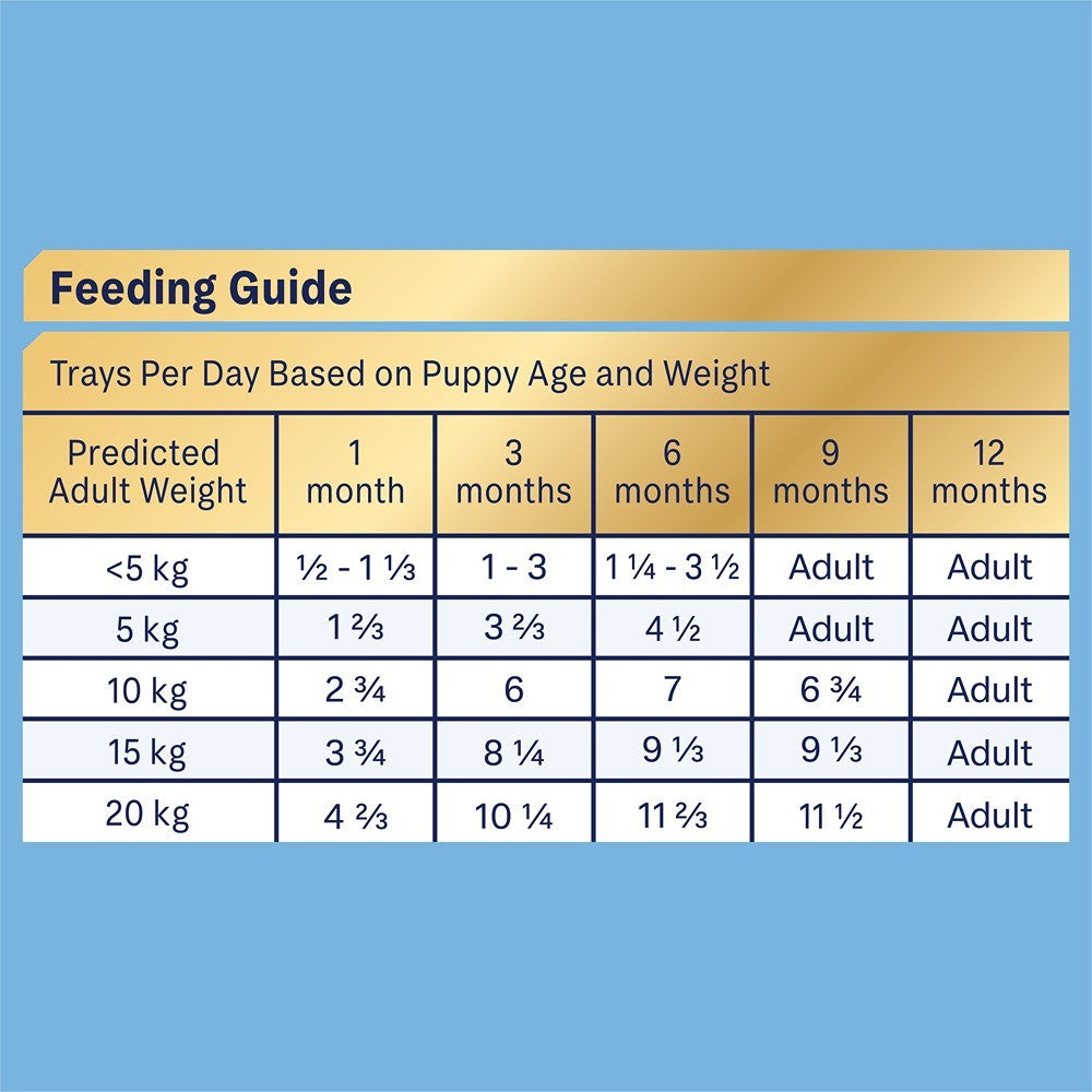 Advance Puppy Oodles Wet Dog Food with Turkey and Rice 100g
