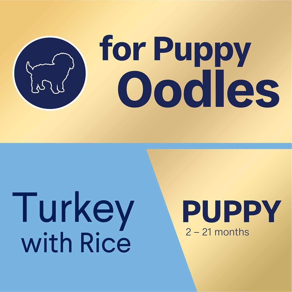 Advance Puppy Oodles Wet Dog Food with Turkey and Rice 100g