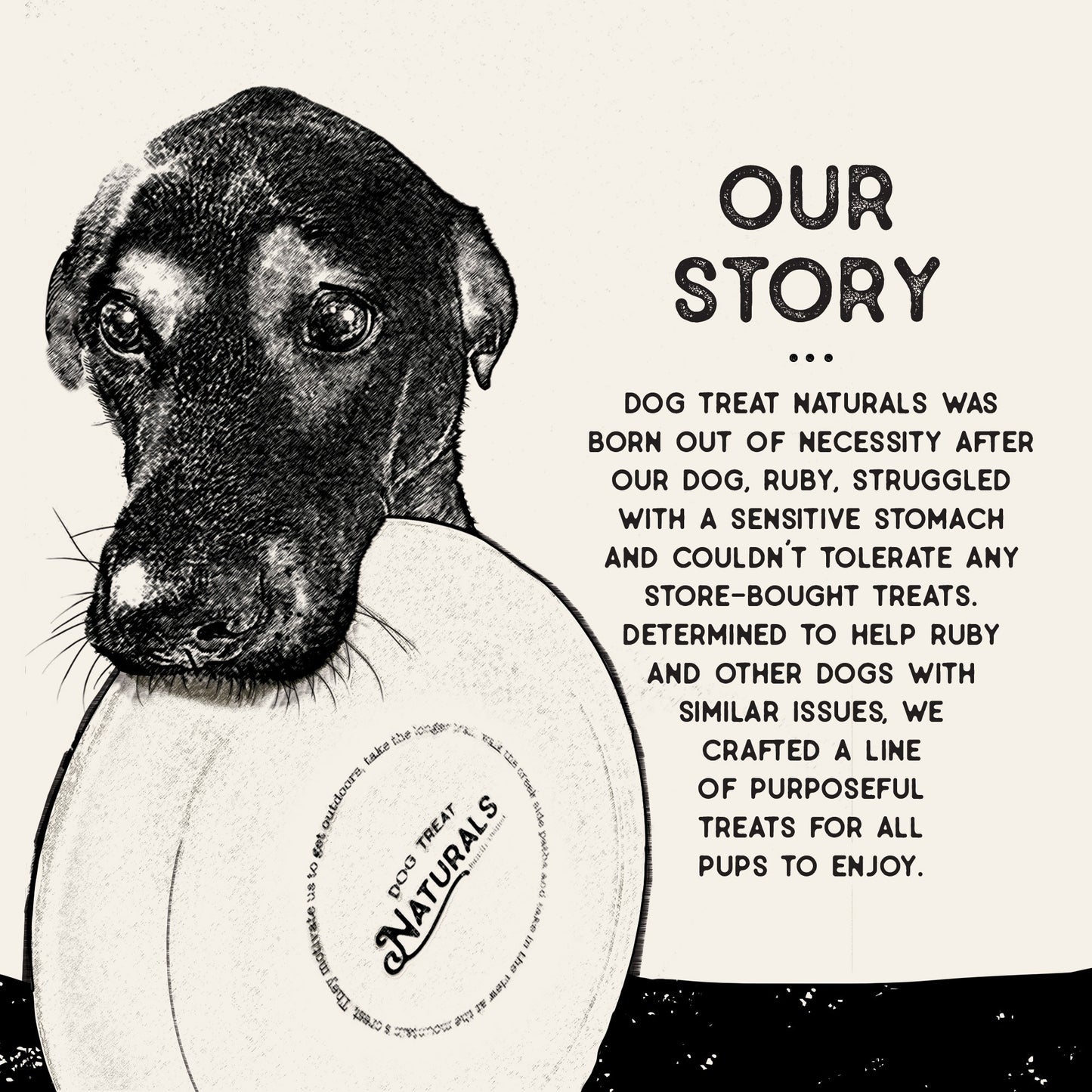 Dog Treat Naturals Chickpea & Mint Dental Sticks