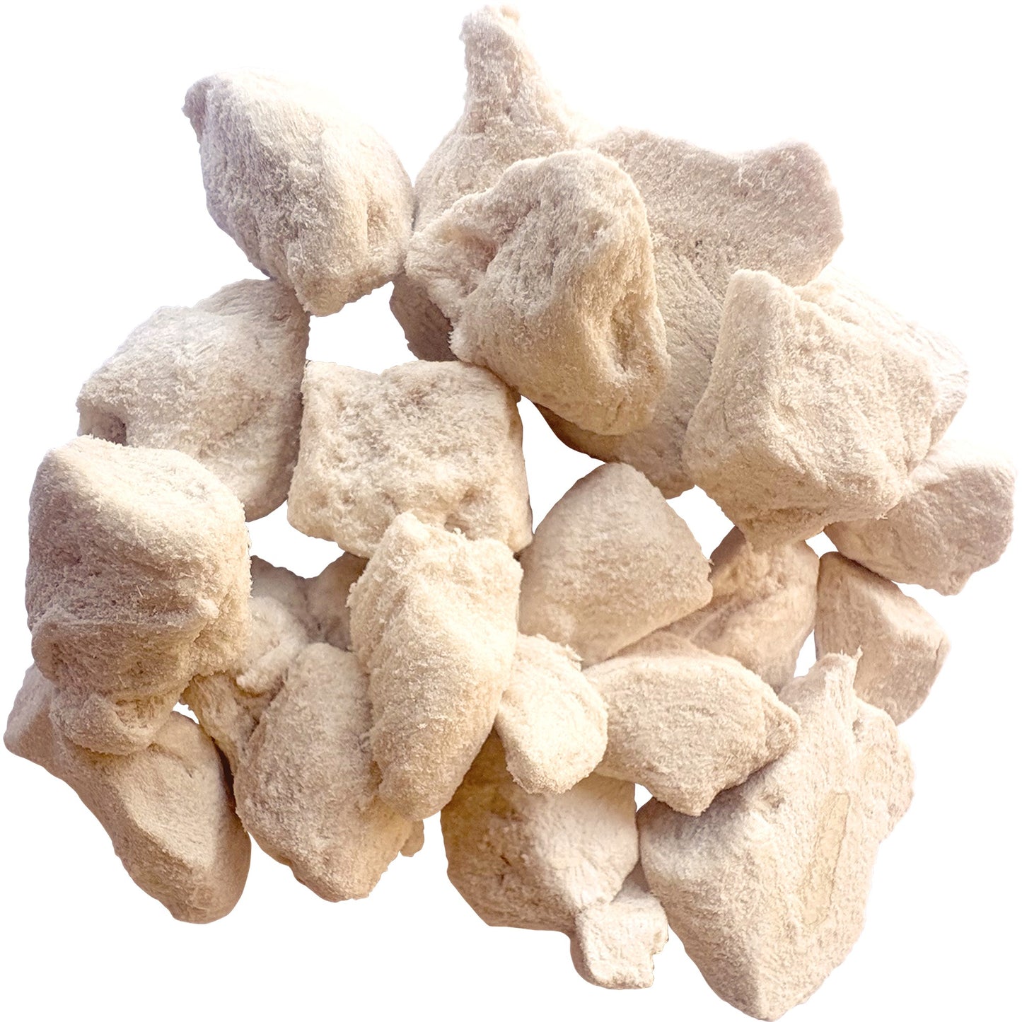 For Paws Freeze Dried Chicken Breast Dog & Cat Treats