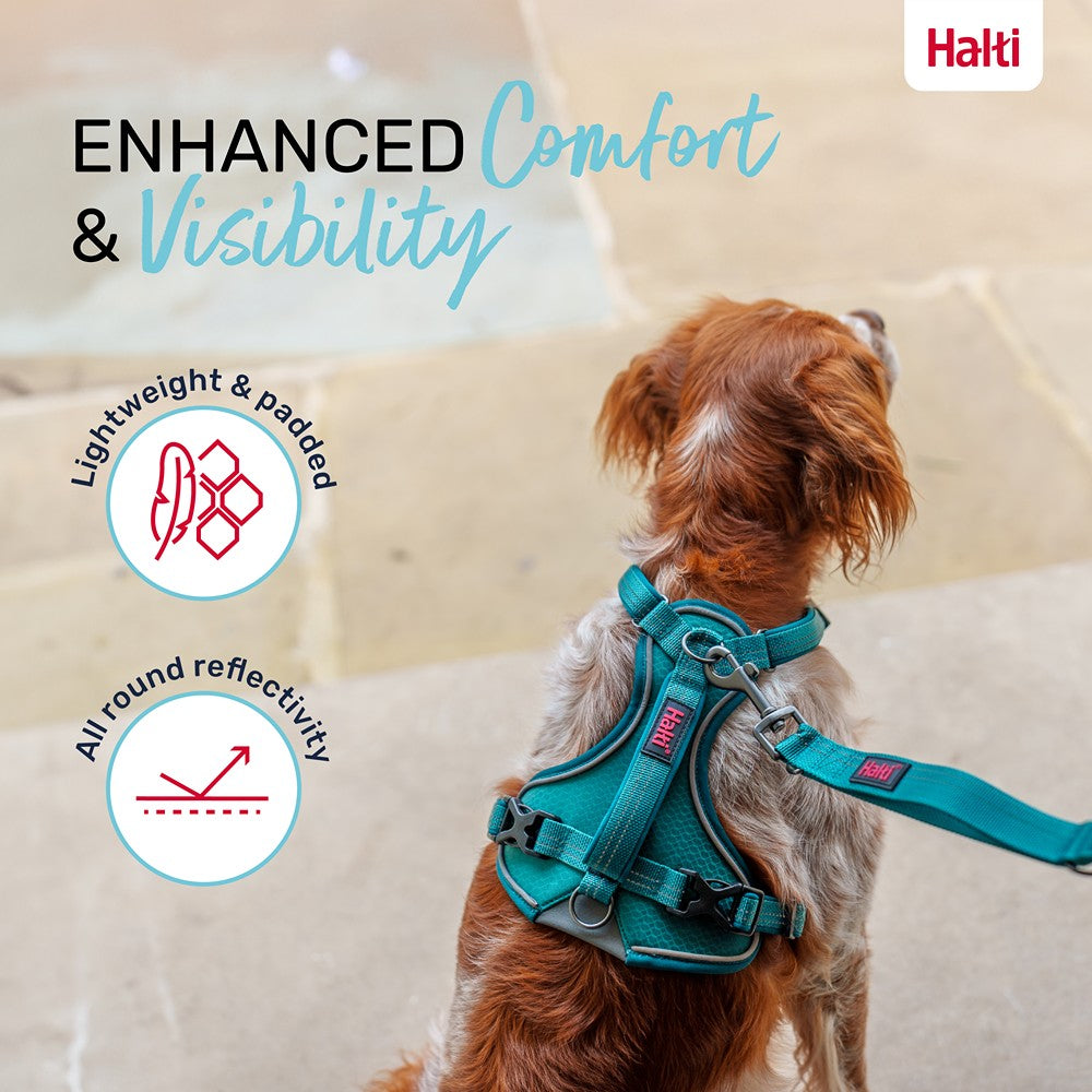 Halti Anatomy Dog Harness Teal