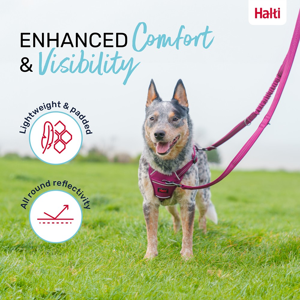 Halti Anatomy Multi Dog Lead Magenta
