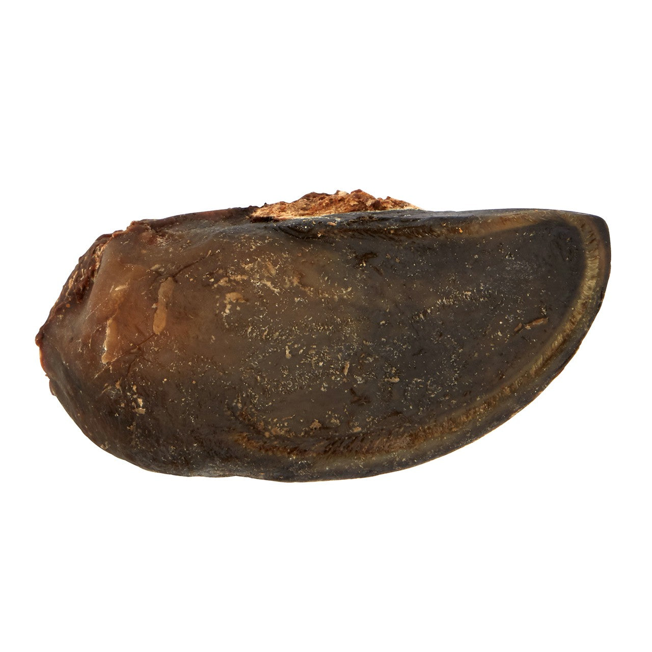 Dog n Bone Stuffed Hoof Kangaroo/Peanut Butter Dog Treat