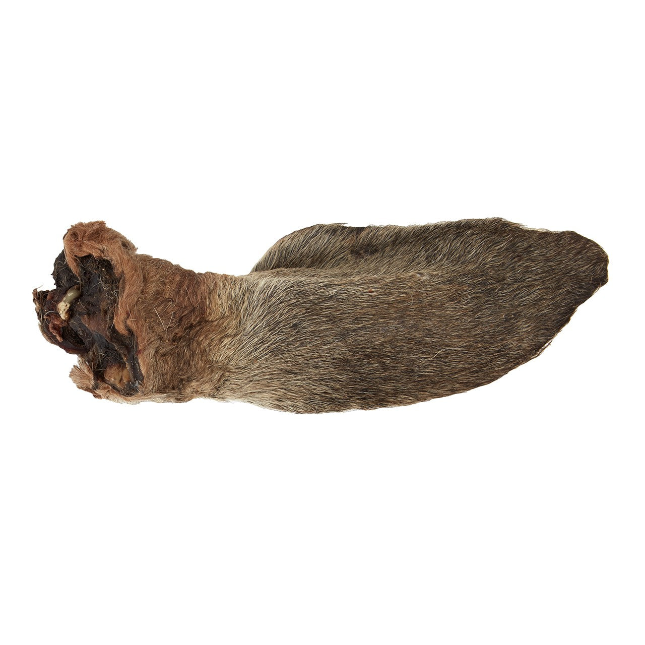 Dog n Bone Kangaroo Ear Dog Treat