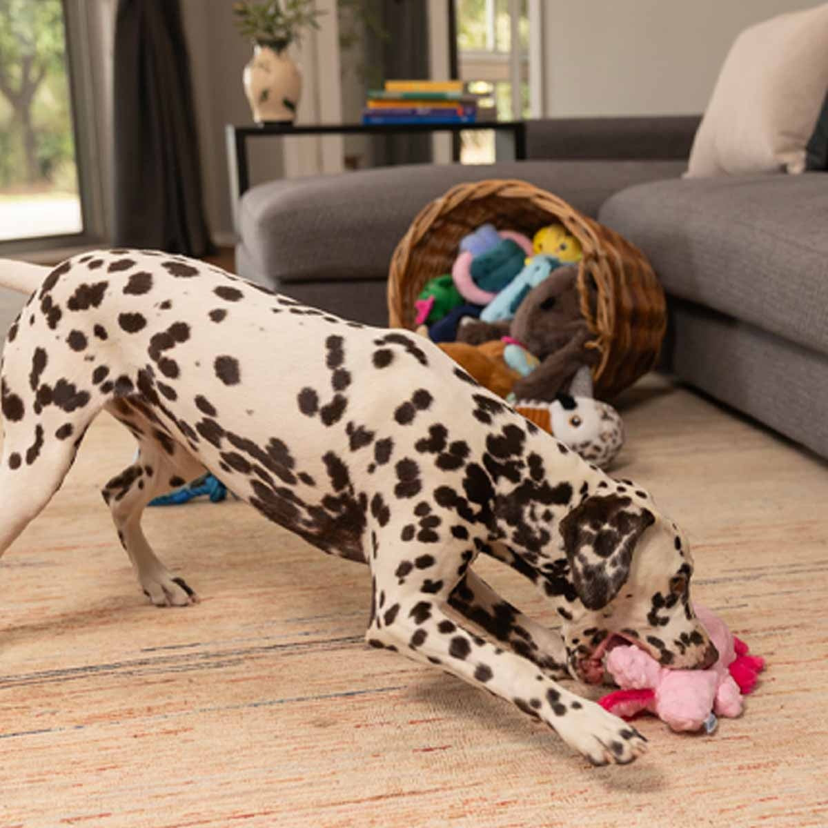 Lexi & Me Axolotl Plush Dog Toy