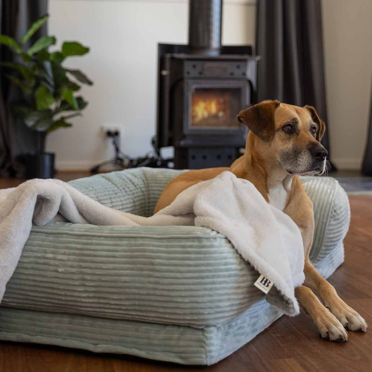 Buddy & Belle Reversible Plush Dog Blanket