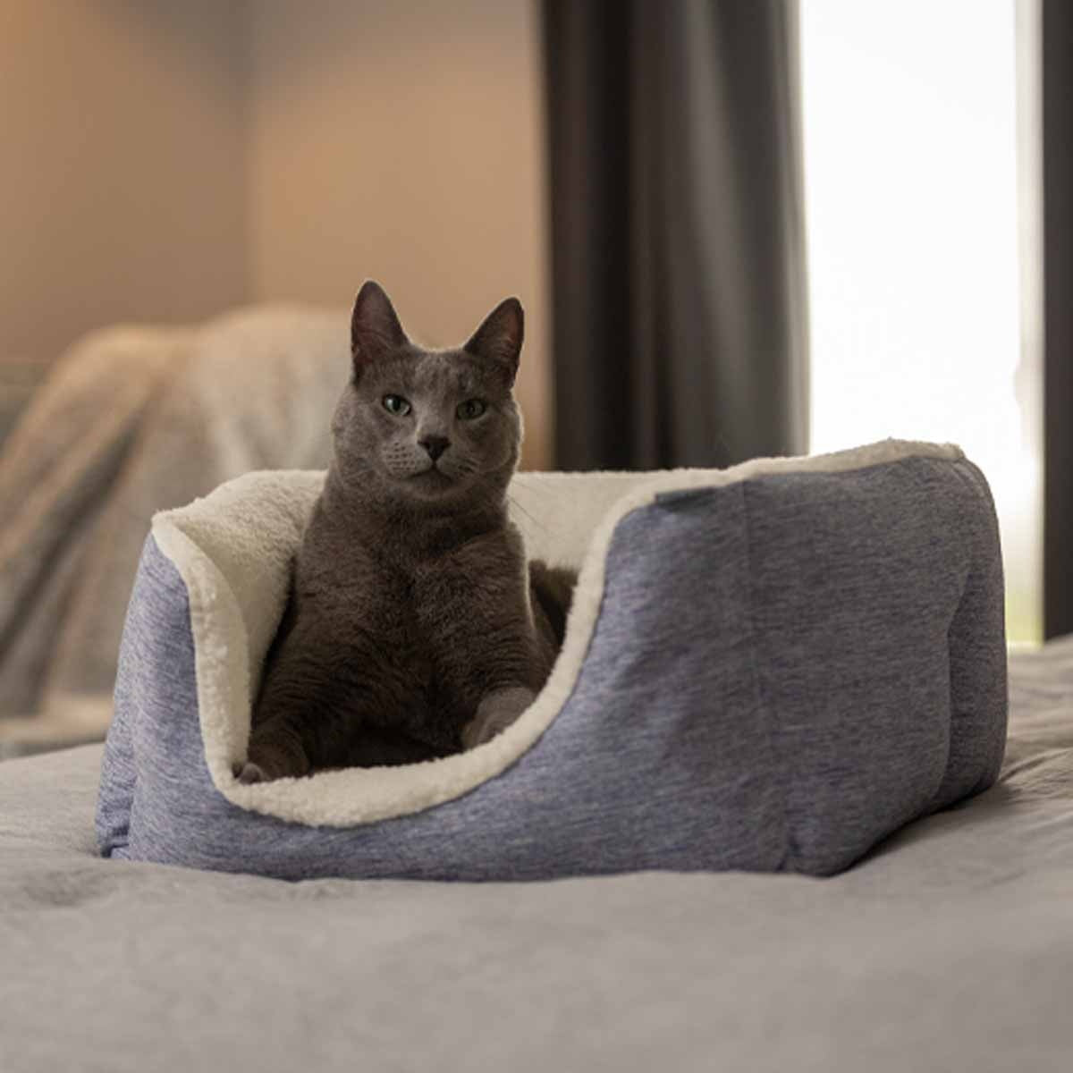 Lexi & Me High Wall Dog Bed