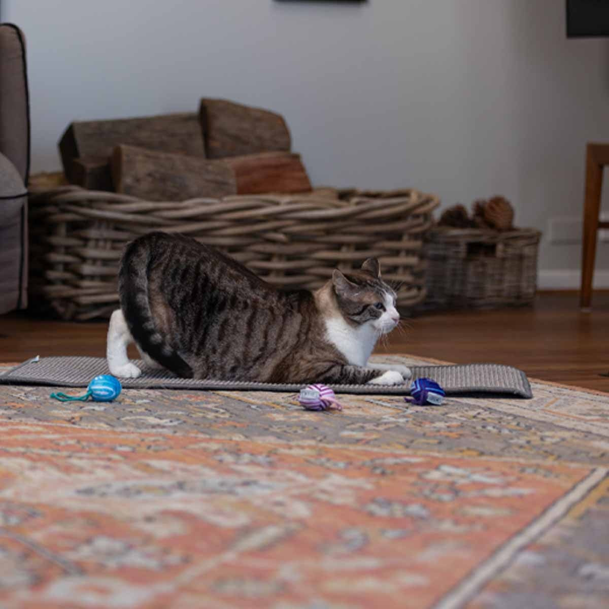 Lexi & Me Cat Scratching Mat