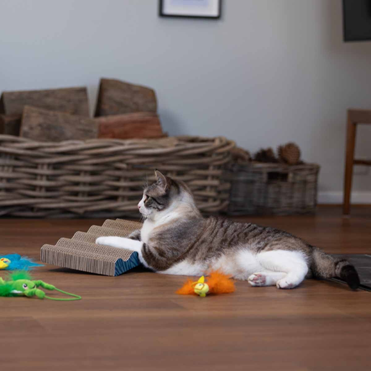 Lexi & Me Cat Scratching Board