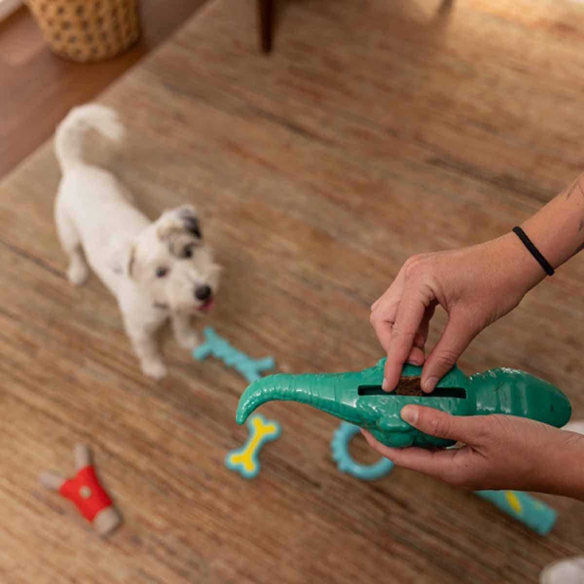 Lexi & Me Lizard Rubber Treat Dog Toy