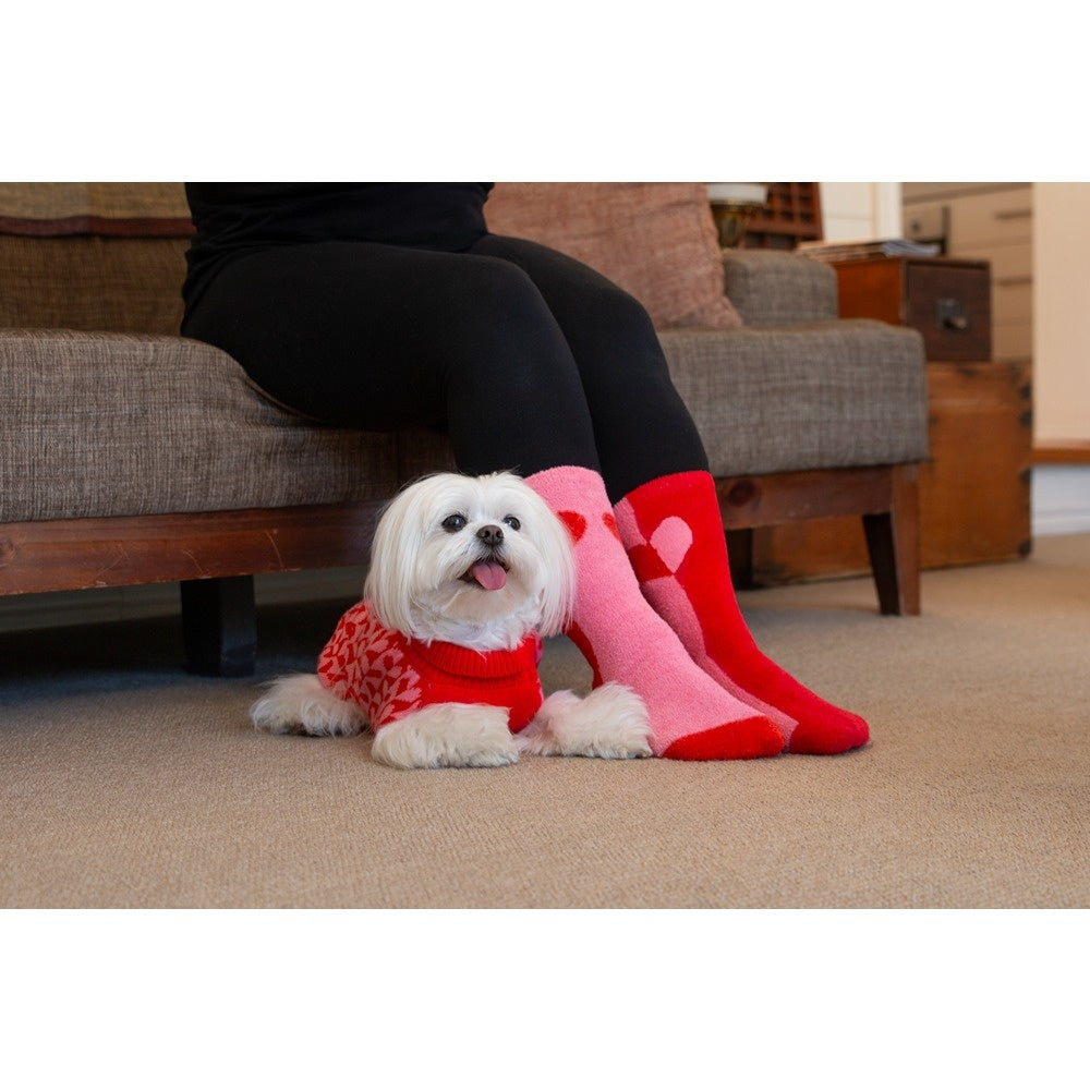 DGG Hooman Bed Socks Sweetheart
