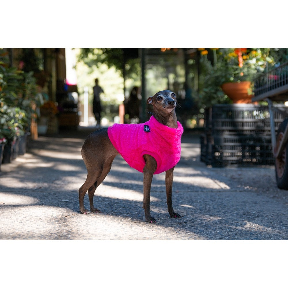 DGG Snuggly Dog Jumper Hot Winters Day