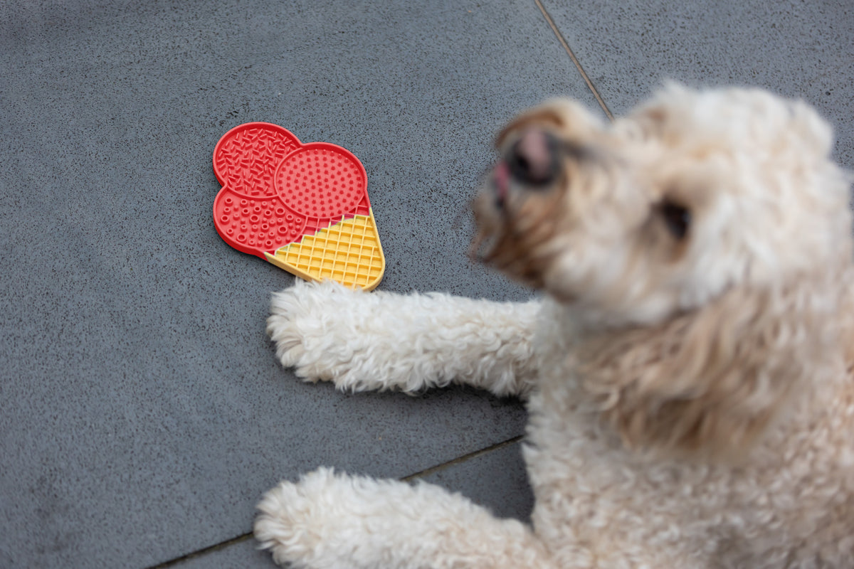 Lexi & Me Ice Cream Lick Mat