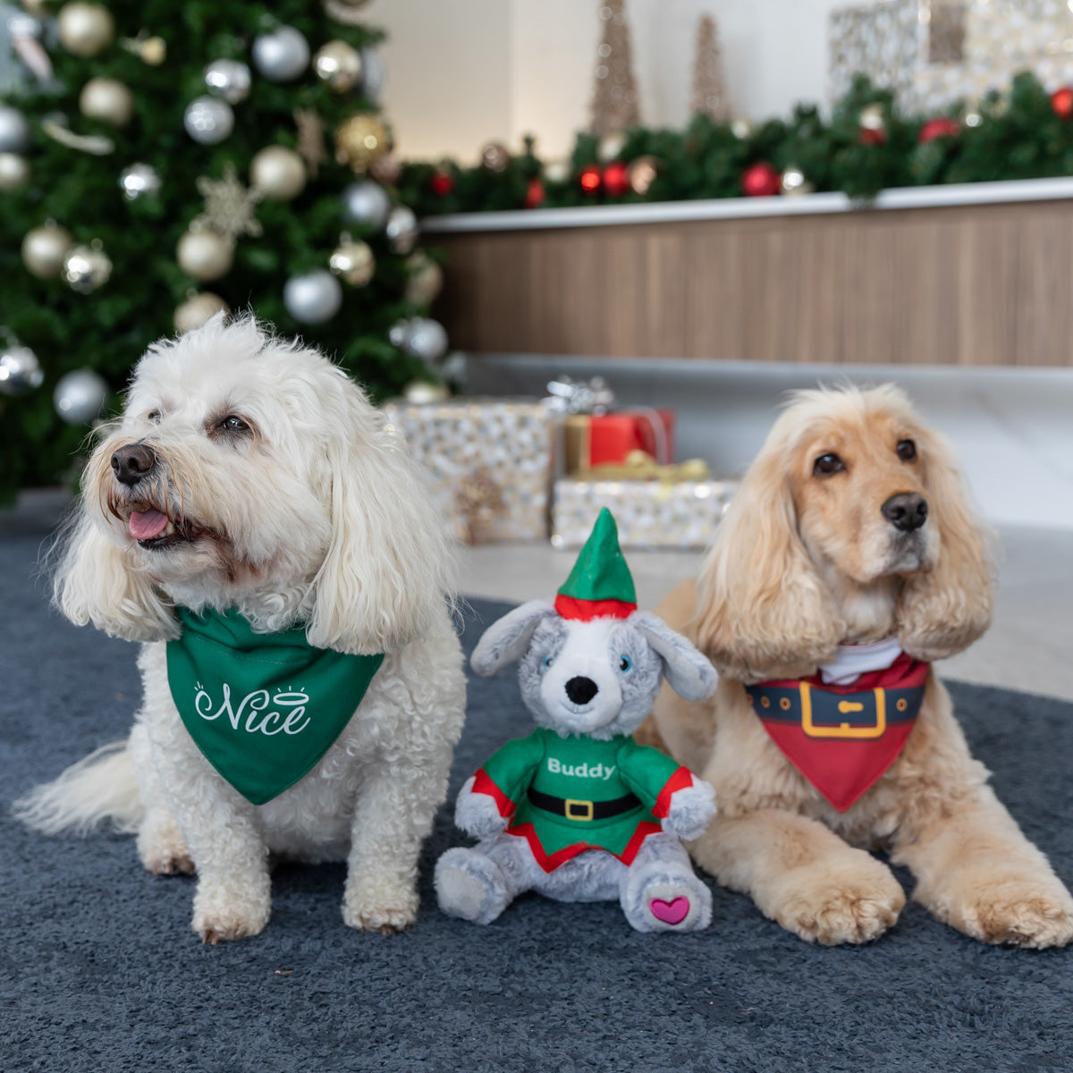 Petstock Foundation Festive Buddy Plush Dog Toy