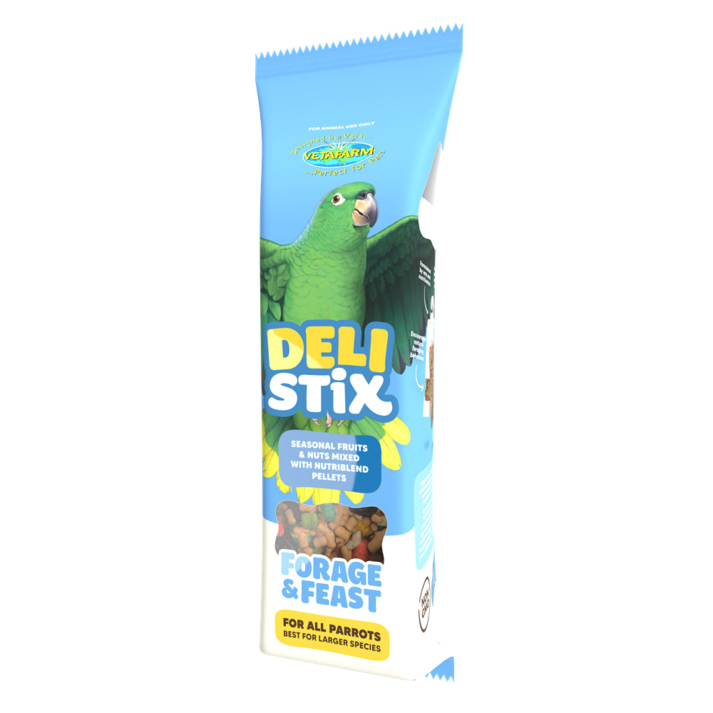 Vetafarm Deli Stix Forage & Feast Large Parrot Bird Treat