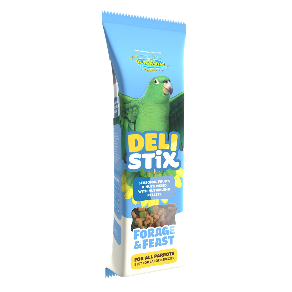 Vetafarm Deli Stix Forage & Feast Large Parrot Bird Treat
