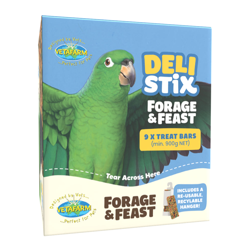 Vetafarm Deli Stix Forage & Feast Large Parrot Bird Treat