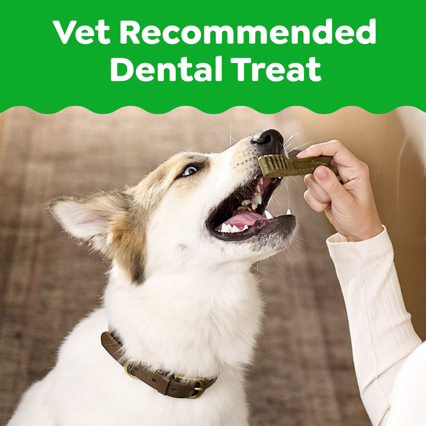 Greenies Regular Dental Chews For Medium Dogs Treats