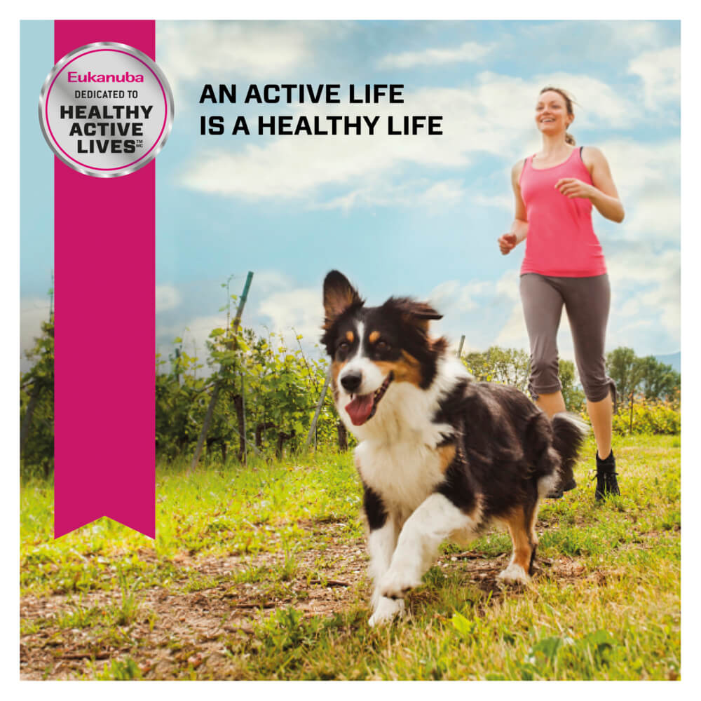 Eukanuba Small Breed Senior Chicken Dry Dog Food 3kg