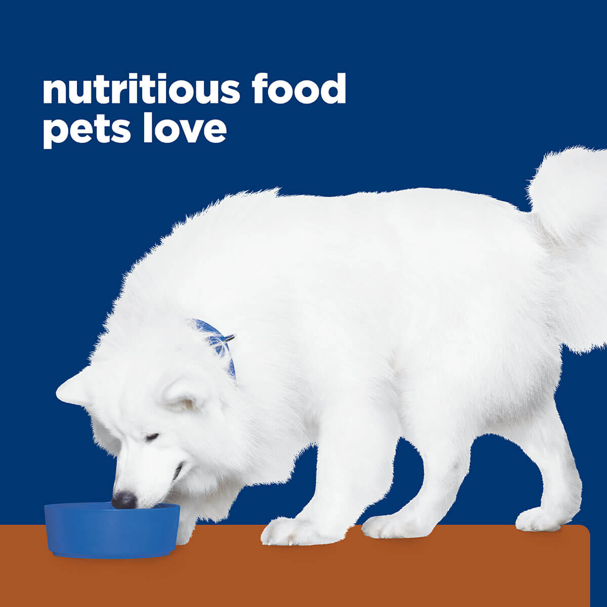 Hill's Prescription Diet K/D Kidney Care & Mobility Dry Dog Food 8.48kg