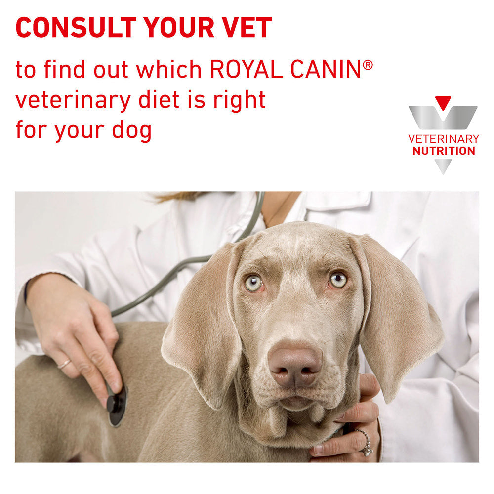 Royal Canin Veterinary Satiety Weight Management Wet Dog Food Cans
