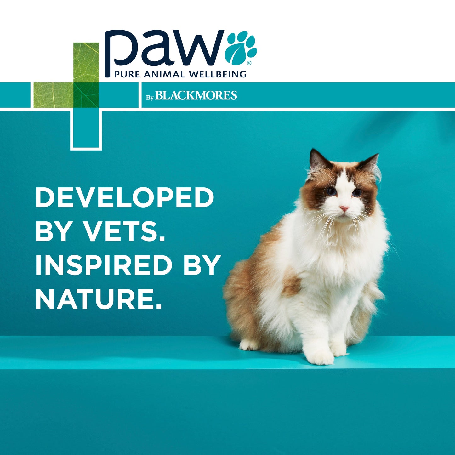PAW Osteosupport Joint Care Powder For Cats 60pk