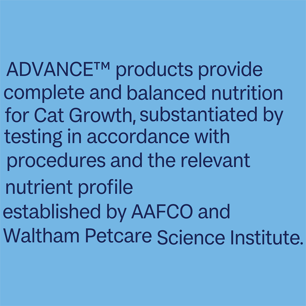 Advance Kitten Tender Chicken Delight Wet Cat Food