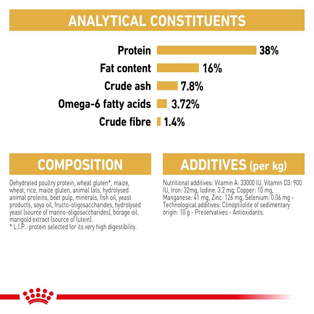 Royal Canin Siamese Adult Dry Cat Food